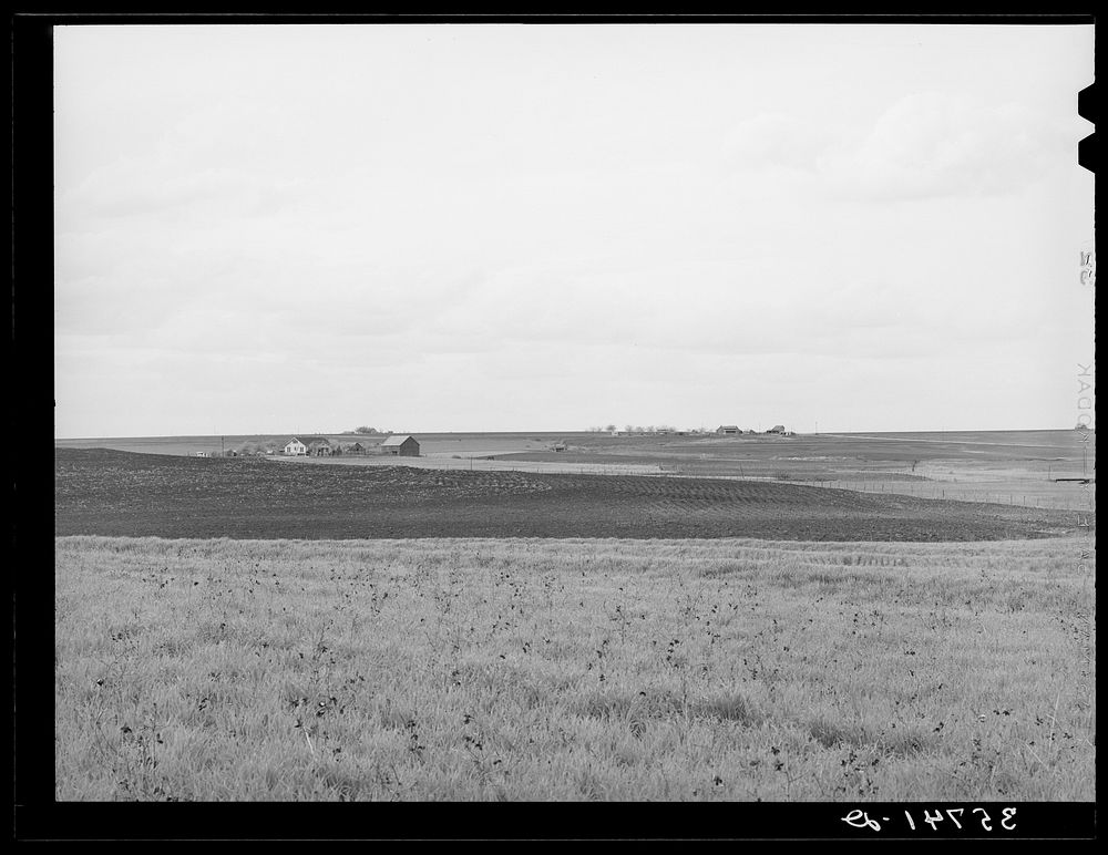 Character of farm land in the  waxy prairie of Texas. Williamson County, Texas by Russell Lee