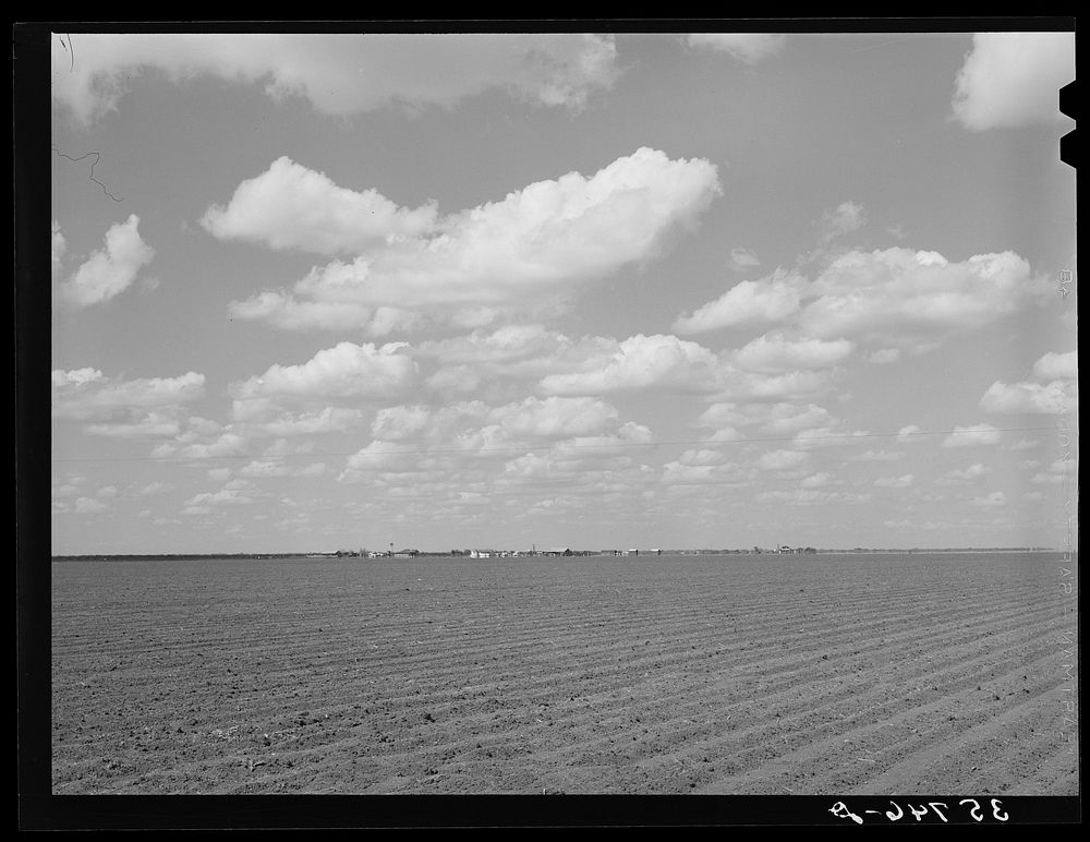 The land is flat, , rich and intensively cultivated in the coastal plains of Texas. San Patricio County, Texas by Russell Lee
