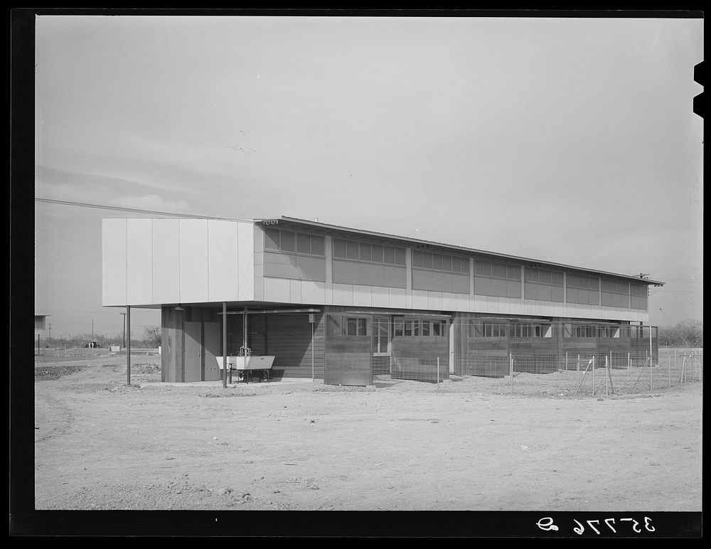 Back of multi-family unit. Migratory labor camp, Sinton, Texas by Russell Lee
