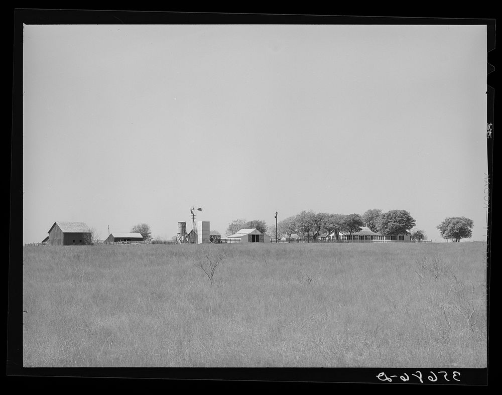 Farmstead in De Witt County, Texas. Cotton is the main crop in this section by Russell Lee