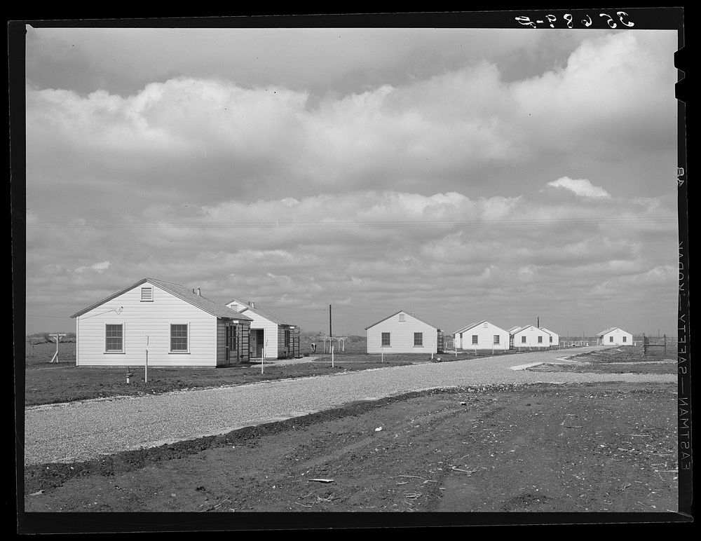 Houses for permanent agricultural workers at migratory labor camp. Robstown, Texas by Russell Lee