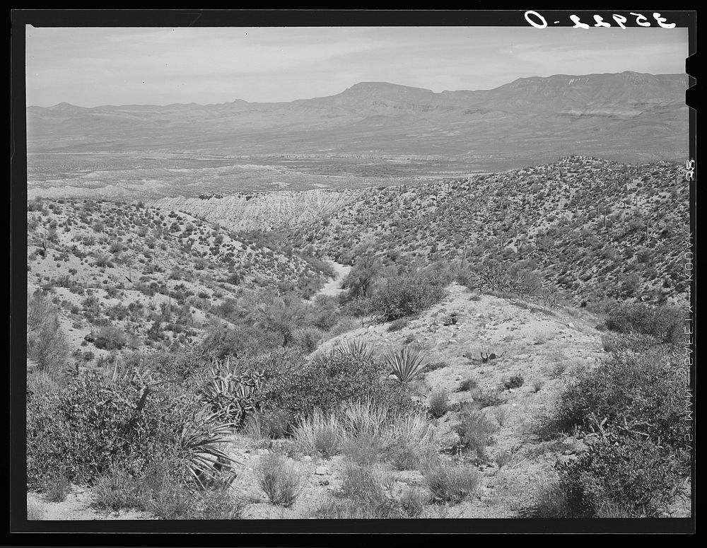 Desert scene along the Apache Trail. Gila County, Arizona by Russell Lee