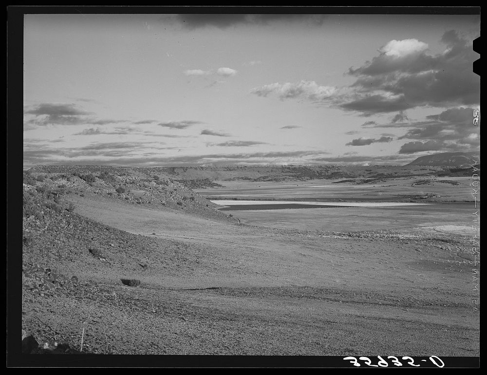 Springerville (vicinity), Apache County, Arizona. Valley floor of the Little Colorado River by Russell Lee