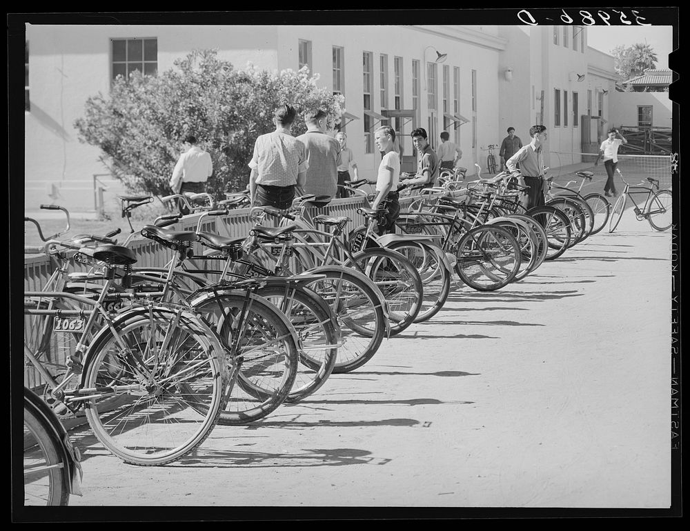 Row of bicycles belonging to students of Phoenix Union High School. Phoenix, Arizona by Russell Lee