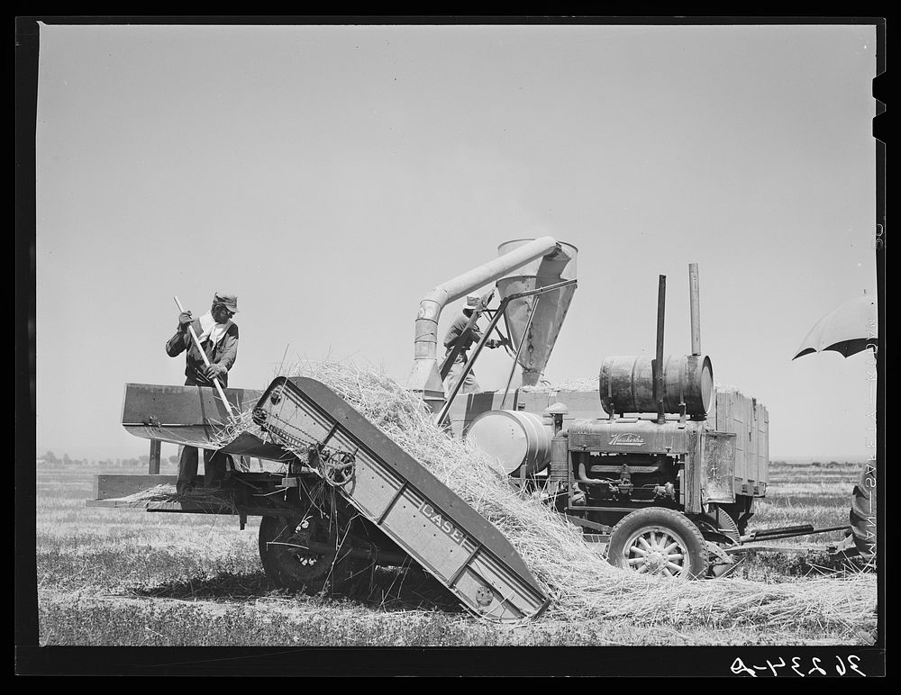 Combined hay picker-upper and chopper developed by members of the Casa Grande Valley Farms, Pinal County, Arizona, with the…