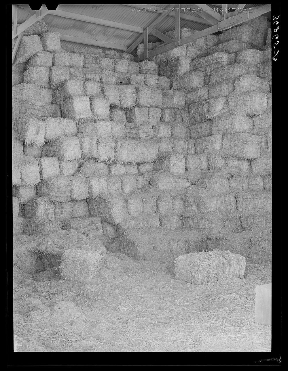 Baled hay stored for cattle feed at the Casa Grande Valley Farms. Pinal County, Arizona by Russell Lee