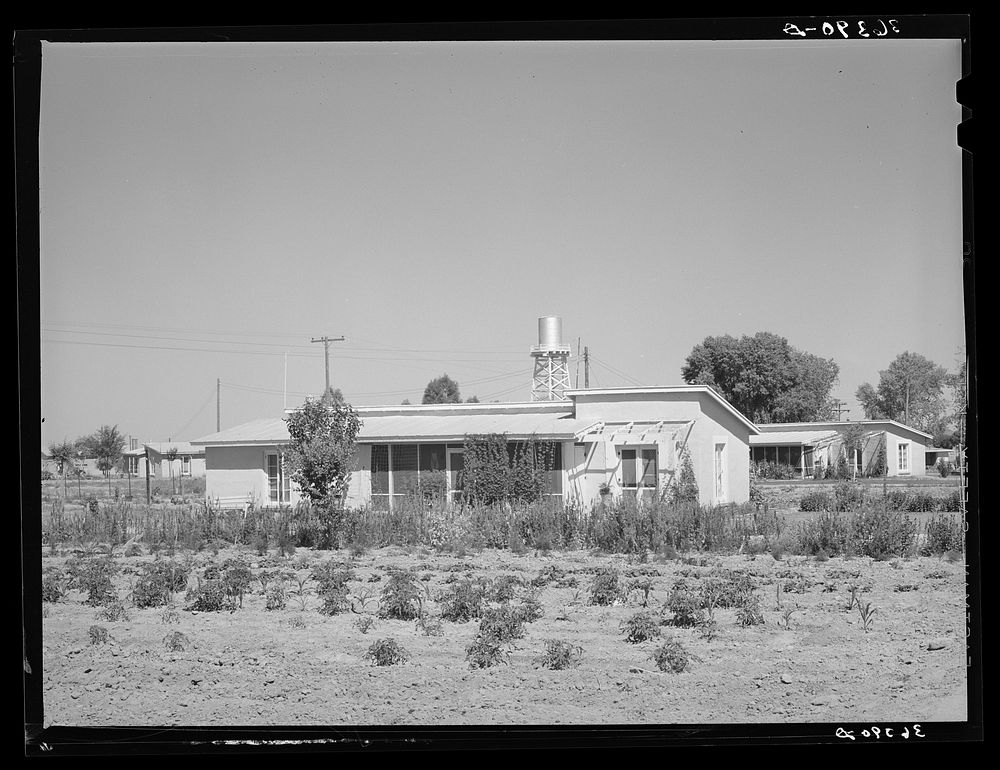 House with garden. Casa Grande Valley Farms, Pinal County, Arizona by Russell Lee
