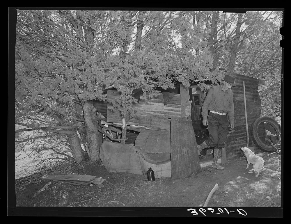 [Untitled photo, possibly related to: Eugene Davis, gold prospector, coming out of his shack home at his diggings at Pinos…