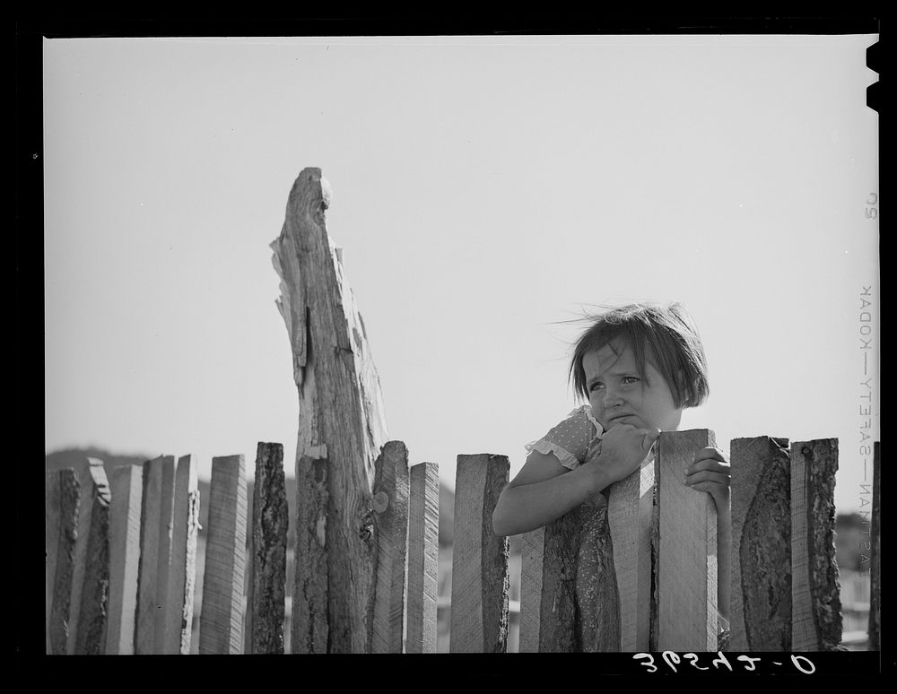 Josie Caudill looking over slab fence on her father's farm. Pie Town, New Mexico by Russell Lee