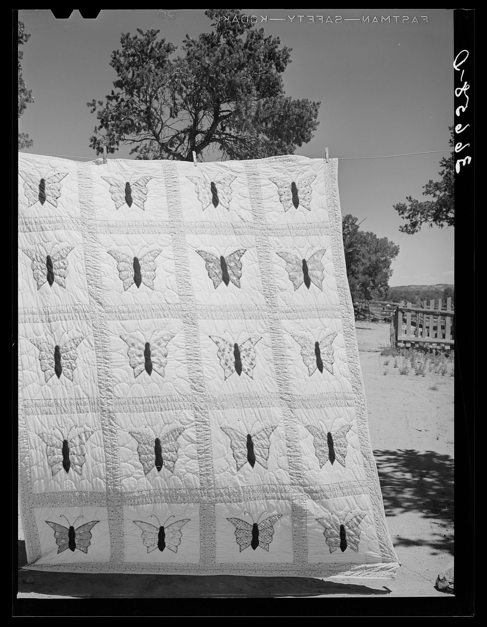 [Untitled photo, possibly related to: Butterfly applique quilt made by Mrs. Bill Stagg, homesteader from Texas and Oklahoma.…