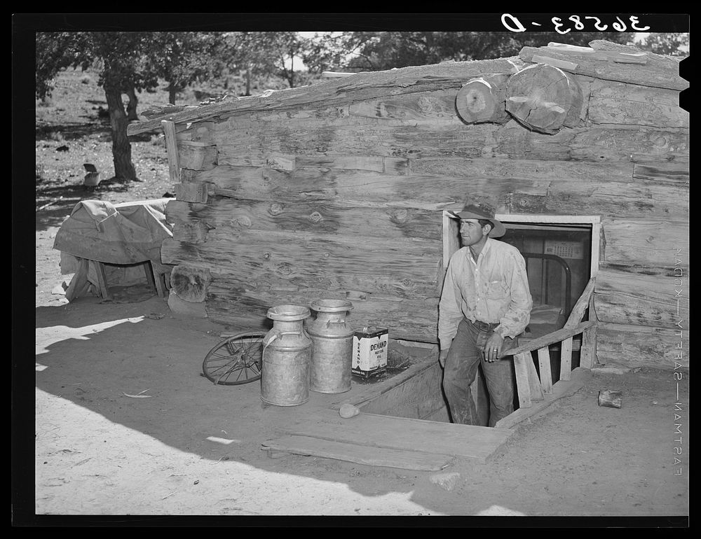 Faro Caudill, homesteader, coming up out of his dugout. Pie Town, New Mexico by Russell Lee
