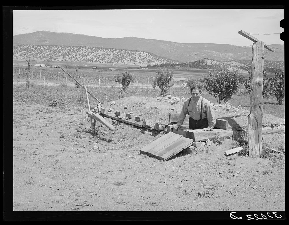 Spanish-American farmer coming out of fruit storage cellar. Chamisal, New Mexico by Russell Lee