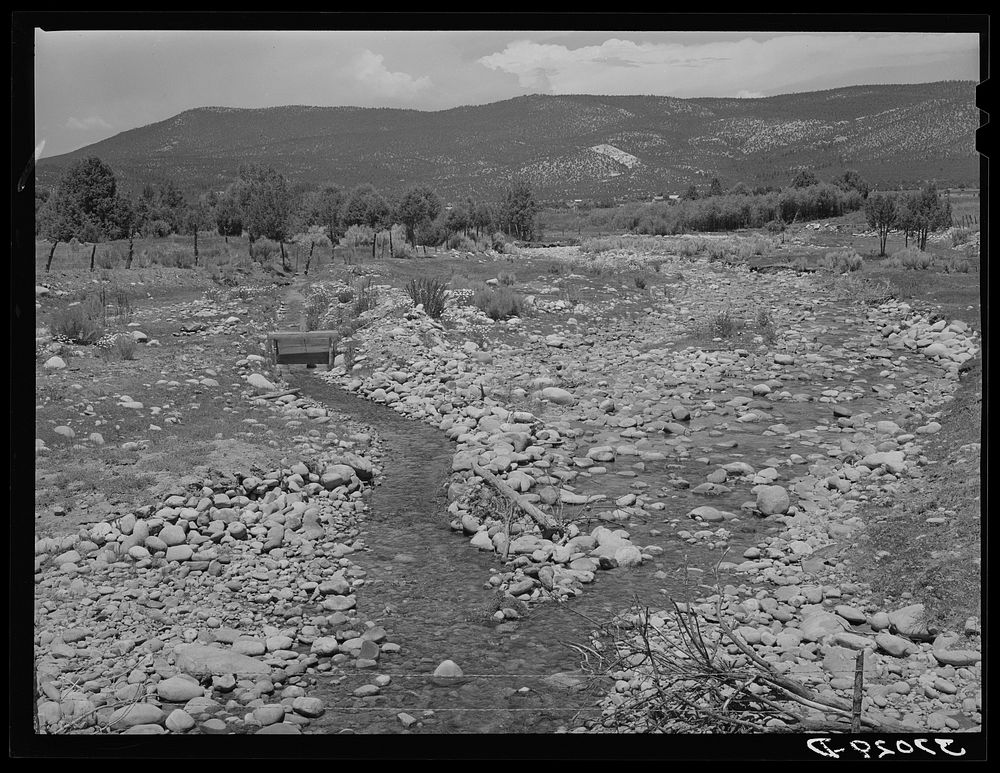 Creek with diversional channel to irrigation ditch on the left, Chamisal. New Mexico by Russell Lee