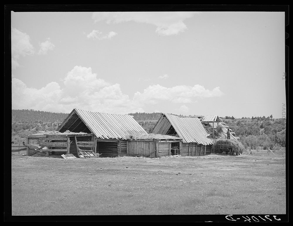 Hay barns of Spanish-American farmer at Llano, New Mexico by Russell Lee