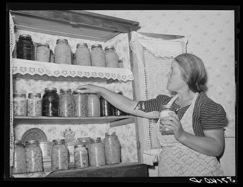 Wife of Spanish-American farmer with canned fruit and vegetables. Chamisal, New Mexico by Russell Lee