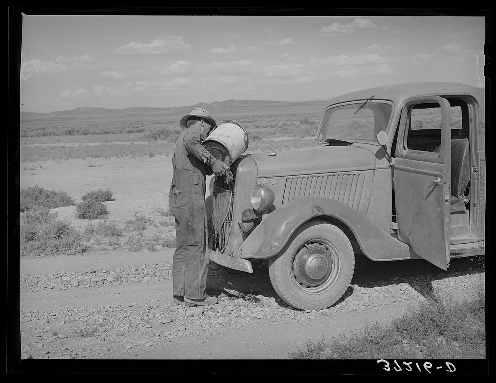 Familiar scene in the desert country of Box Elder County, Utah by Russell Lee