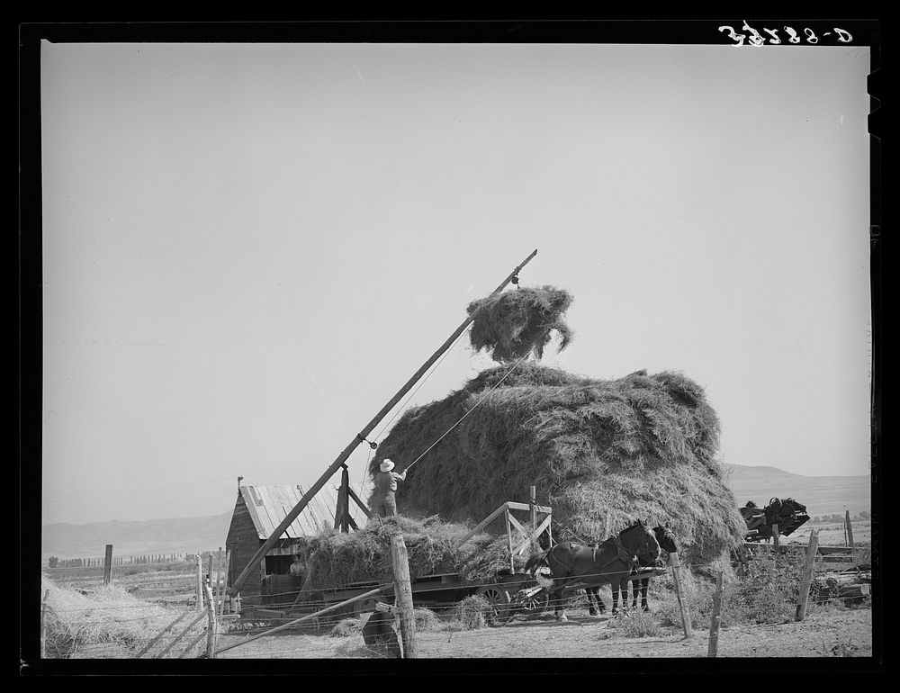 Putting up hay with Mormon hay stacker. Box Elder County, Utah by Russell Lee