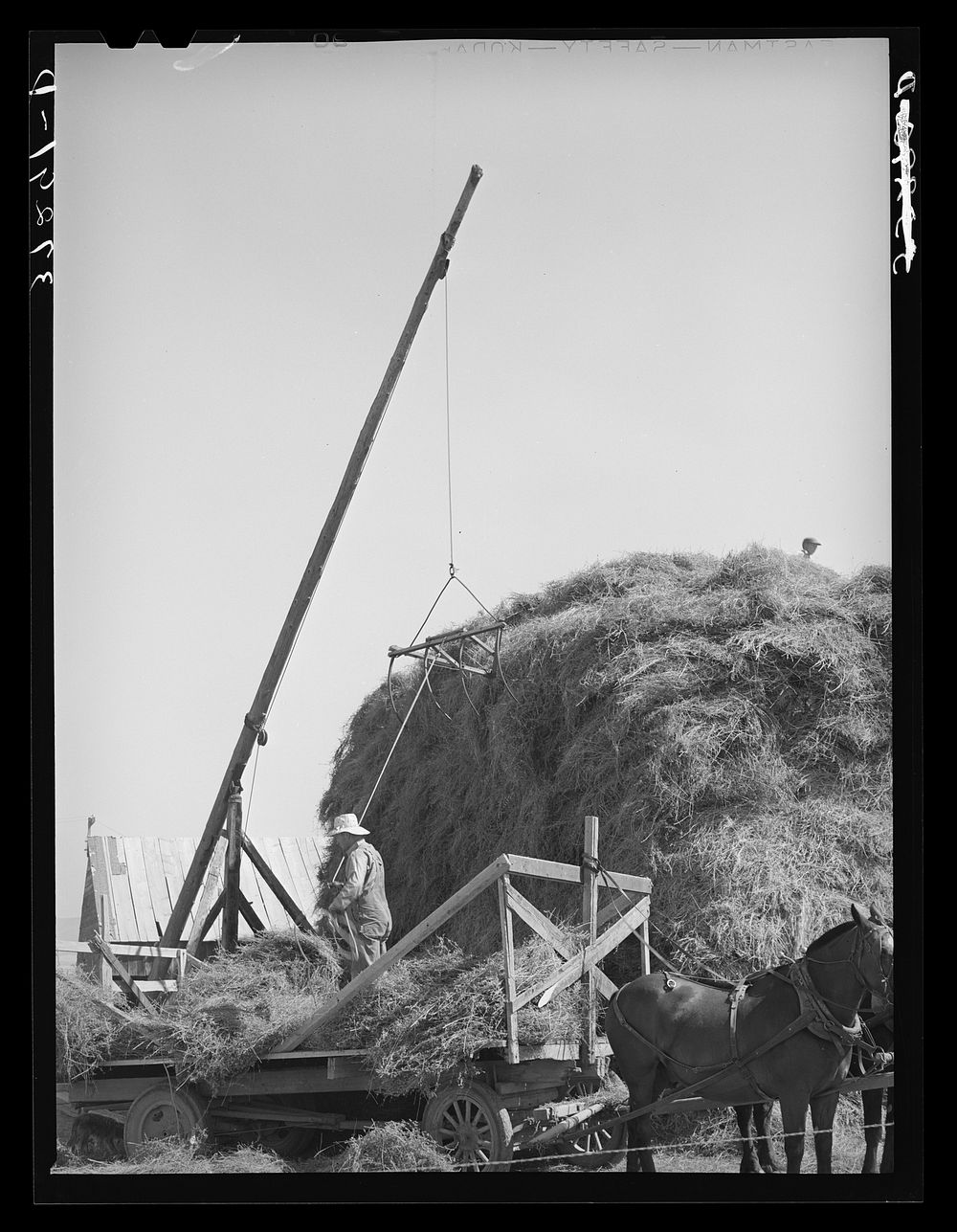 Mormon hay stacker in use. Box Elder County, Utah by Russell Lee