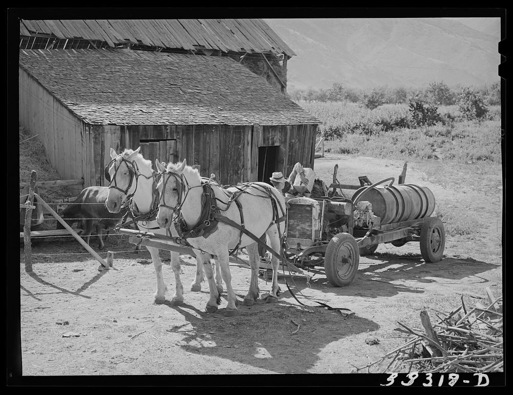 Filling tank of converted automobile which supplies power for FSA (Farm Security Administration) cooperative orchard…