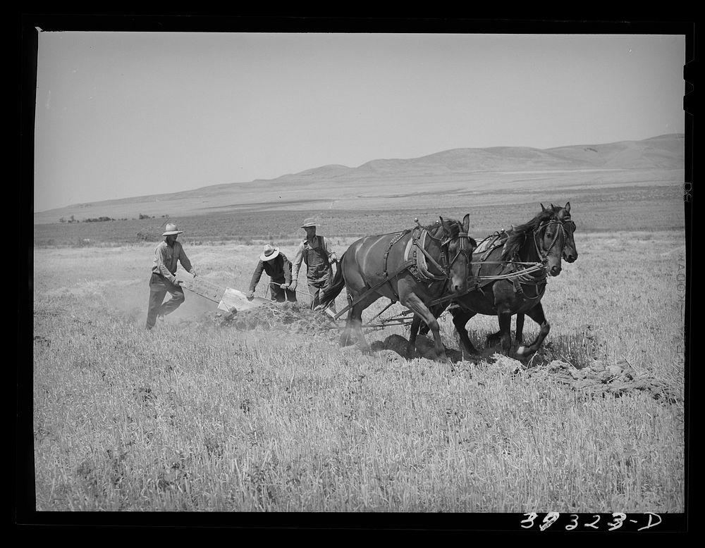 FSA (Farm Security Administration) cooperative. West Bear river ditcher in action. Box Elder County, Utah by Russell Lee