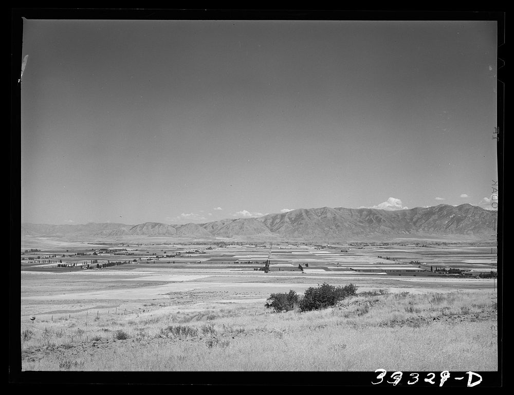 The pattern of Mormon farms looking from the dryland area east towards Tremonton, Utah by Russell Lee