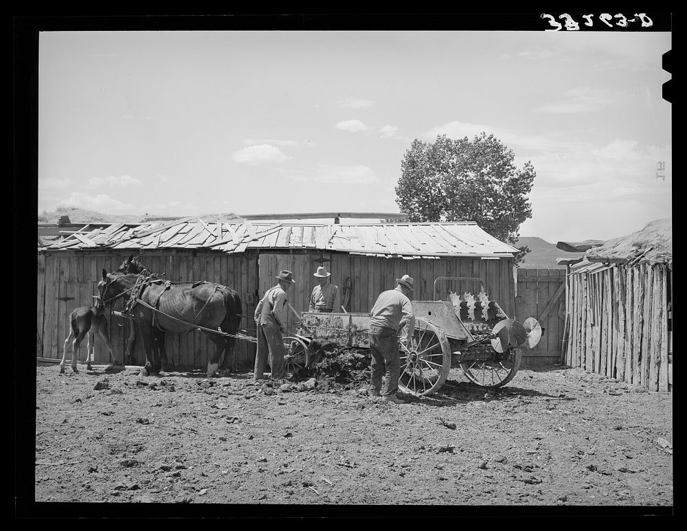 [Untitled photo, possibly related to: Members of FSA (Farm Security Administration) cooperative manure spreader. Box Elder…