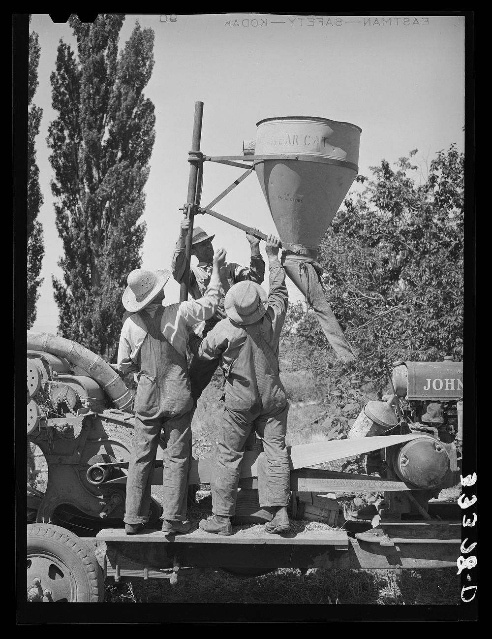 [Untitled photo, possibly related to: Members of FSA (Farm Security Administration) cooperative hay chopper elevating part…
