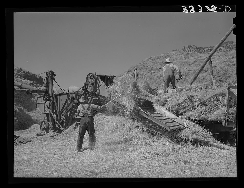 Threshing small grain. Box Elder County, Utah by Russell Lee