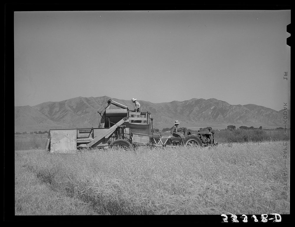 FSA (Farm Security Administration) cooperative binder in action. Box Elder County, Utah by Russell Lee