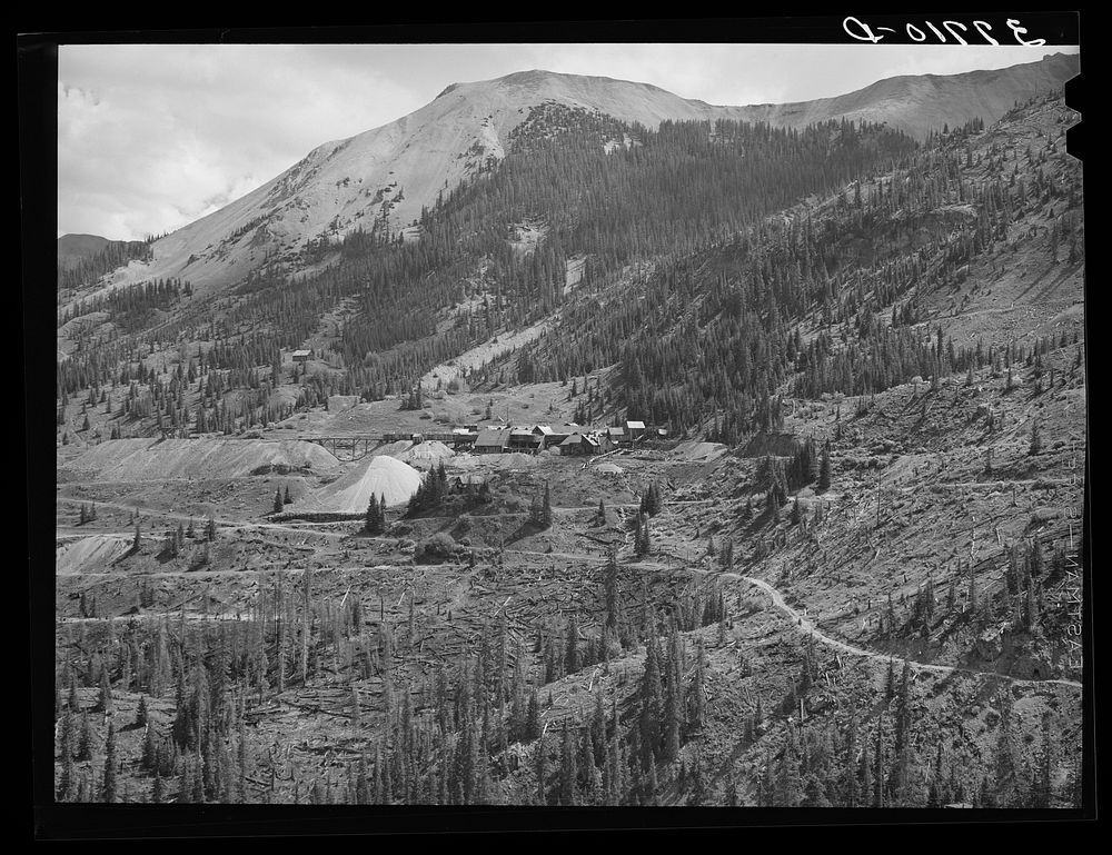 Abandoned mines and mills around Red Mountain, San Juan County. Notice the evidence of wasteful deforestation by Russell Lee