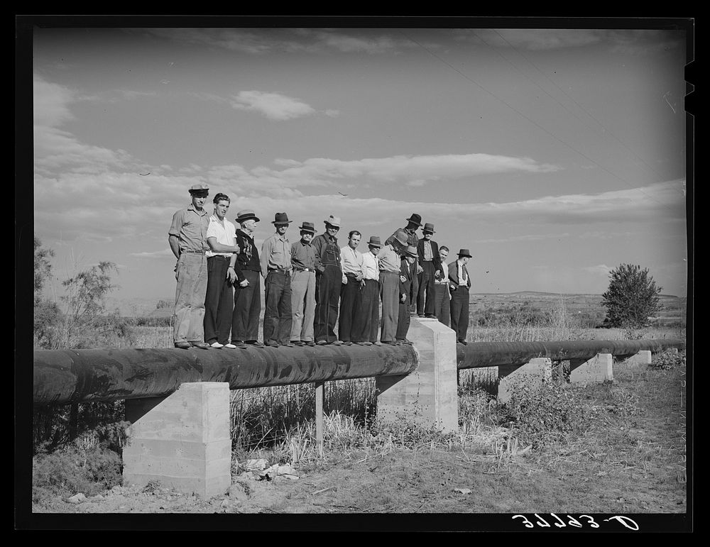[Untitled photo, possibly related to: Member of FSA (Farm Security Administration) cooperative pipe line used for irrigation…