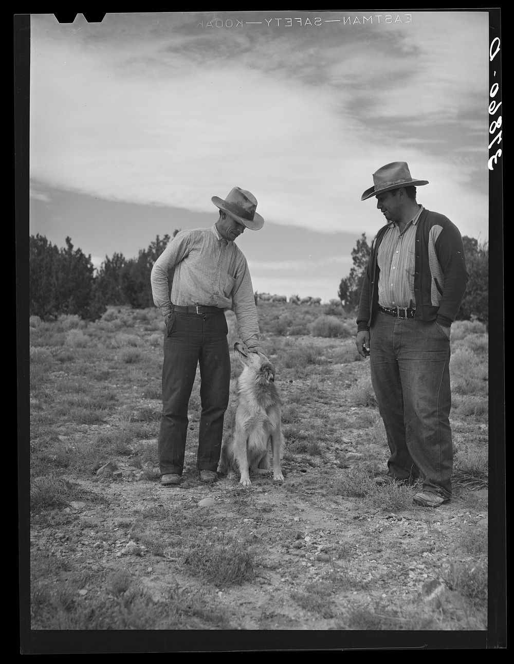 Sheepherders of the Candelaria brothers. Concho, Arizona by Russell Lee