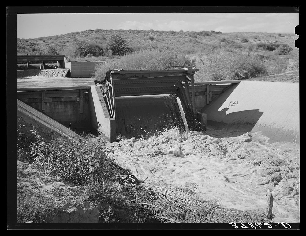 Irrigation gate of canal. Bernadillo County, New Mexico by Russell Lee