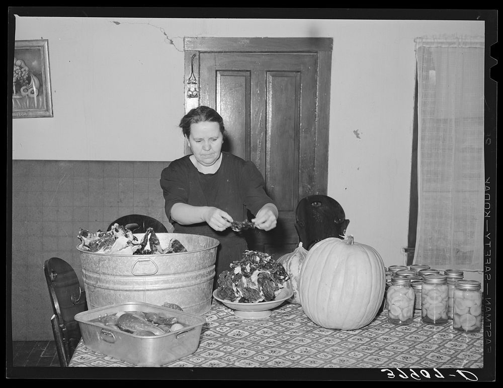 Woman of Spanish extraction putting up dried meat with other produce of the farm. Concho, Arizona by Russell Lee