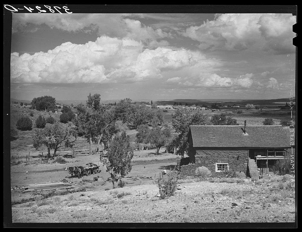 [Untitled photo, possibly related to: Farmstead. Concho, Arizona] by Russell Lee