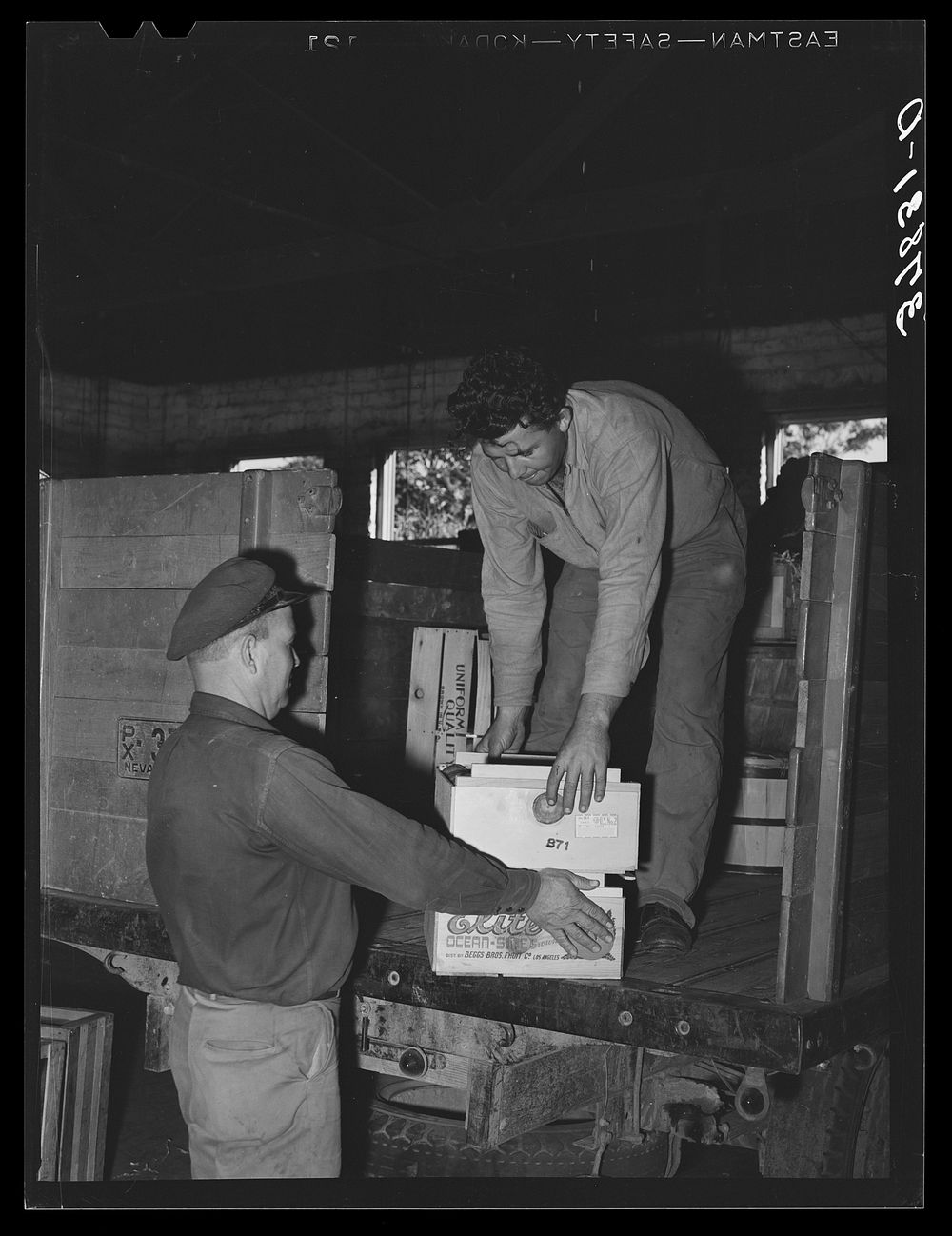 Loading fruit into truck for shipment at produce company warehouse. Santa Clara, Utah. See general caption by Russell Lee