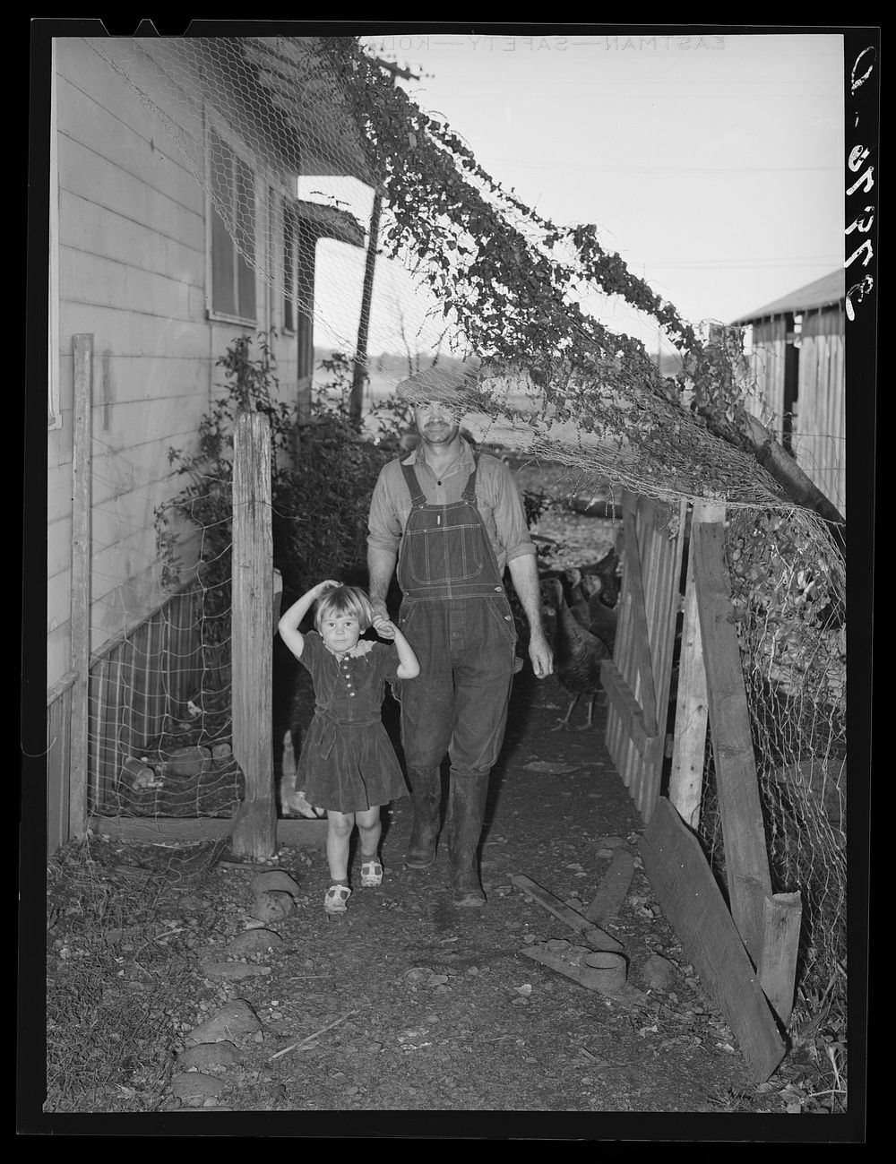 [Untitled photo, possibly related to: John Frost and his daughter. Mr. Frost is part owner of a 135 acres of semi-marginal…