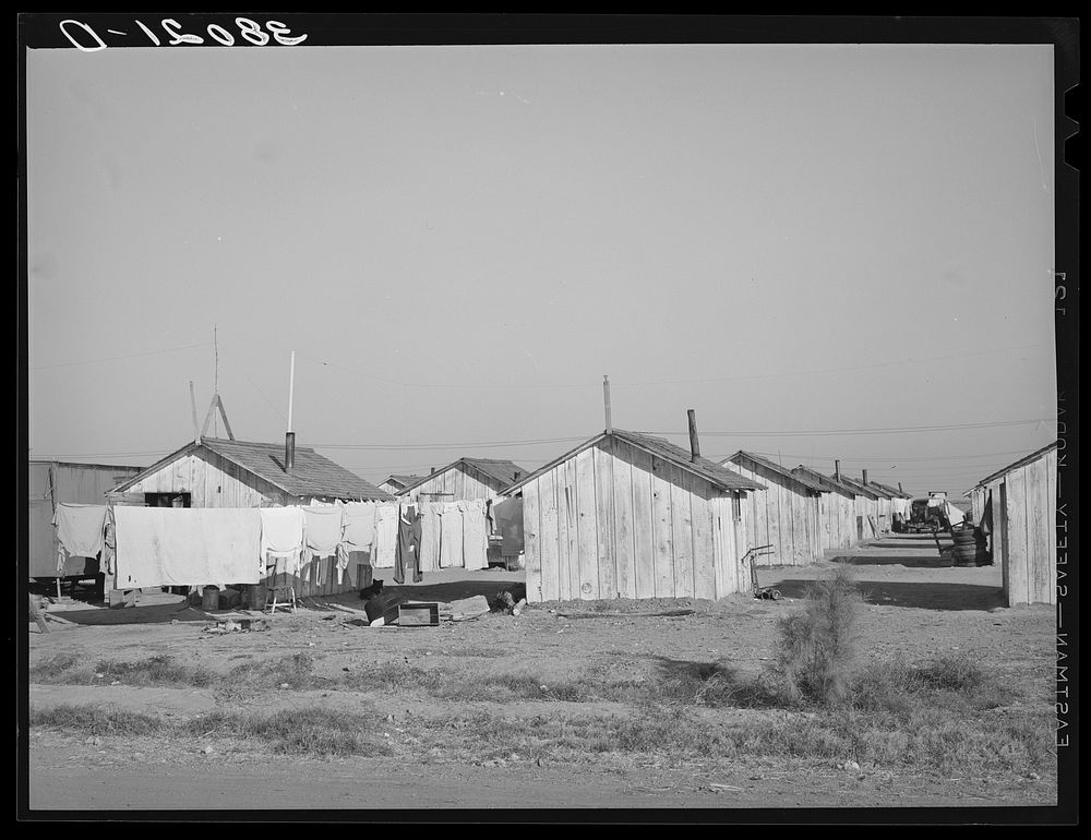 Housing for white transient workers at Giffen Ranch. Southwest Mendota, California by Russell Lee