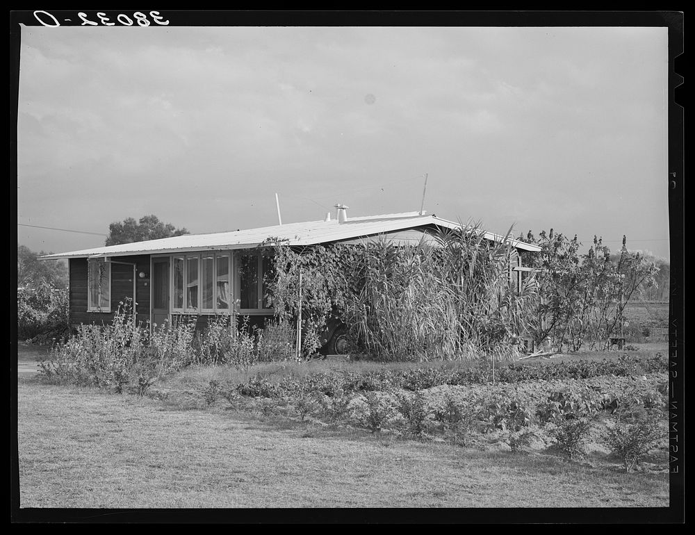 [Untitled photo, possibly related to: House of member of the Mineral King cooperative farm. Tulare County, California] by…