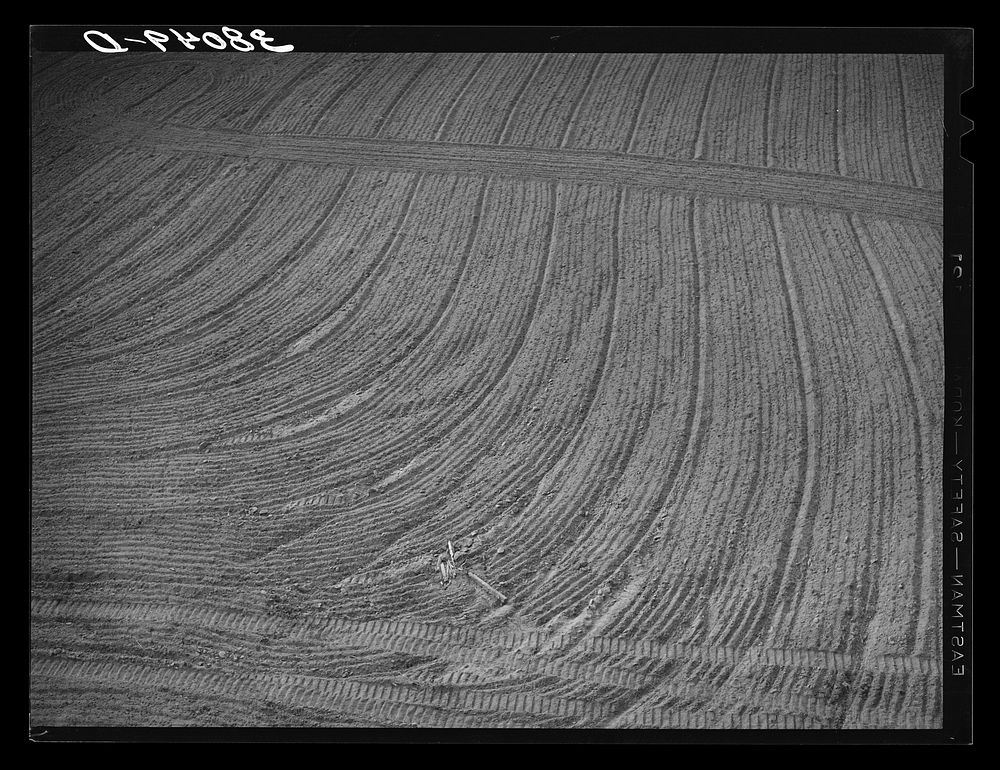 Detail of field after being harrowed at Mineral King cooperative farm. Tulare County, California by Russell Lee