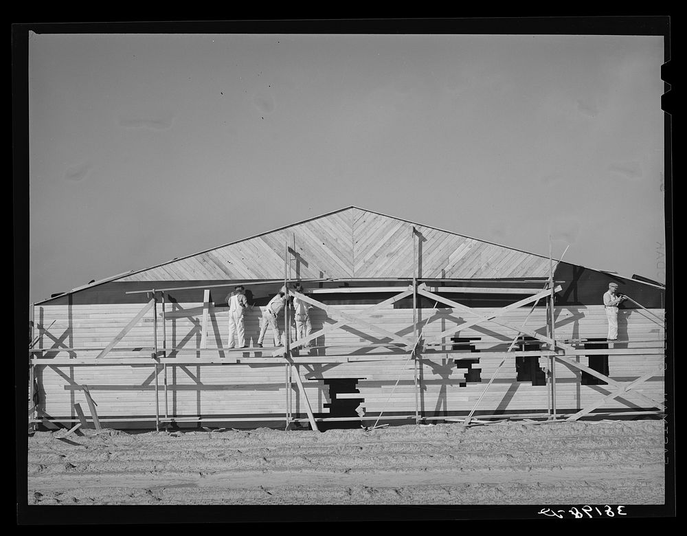 [Untitled photo, possibly related to: Series of barracks under construction at the replacement cantonment of the coast…
