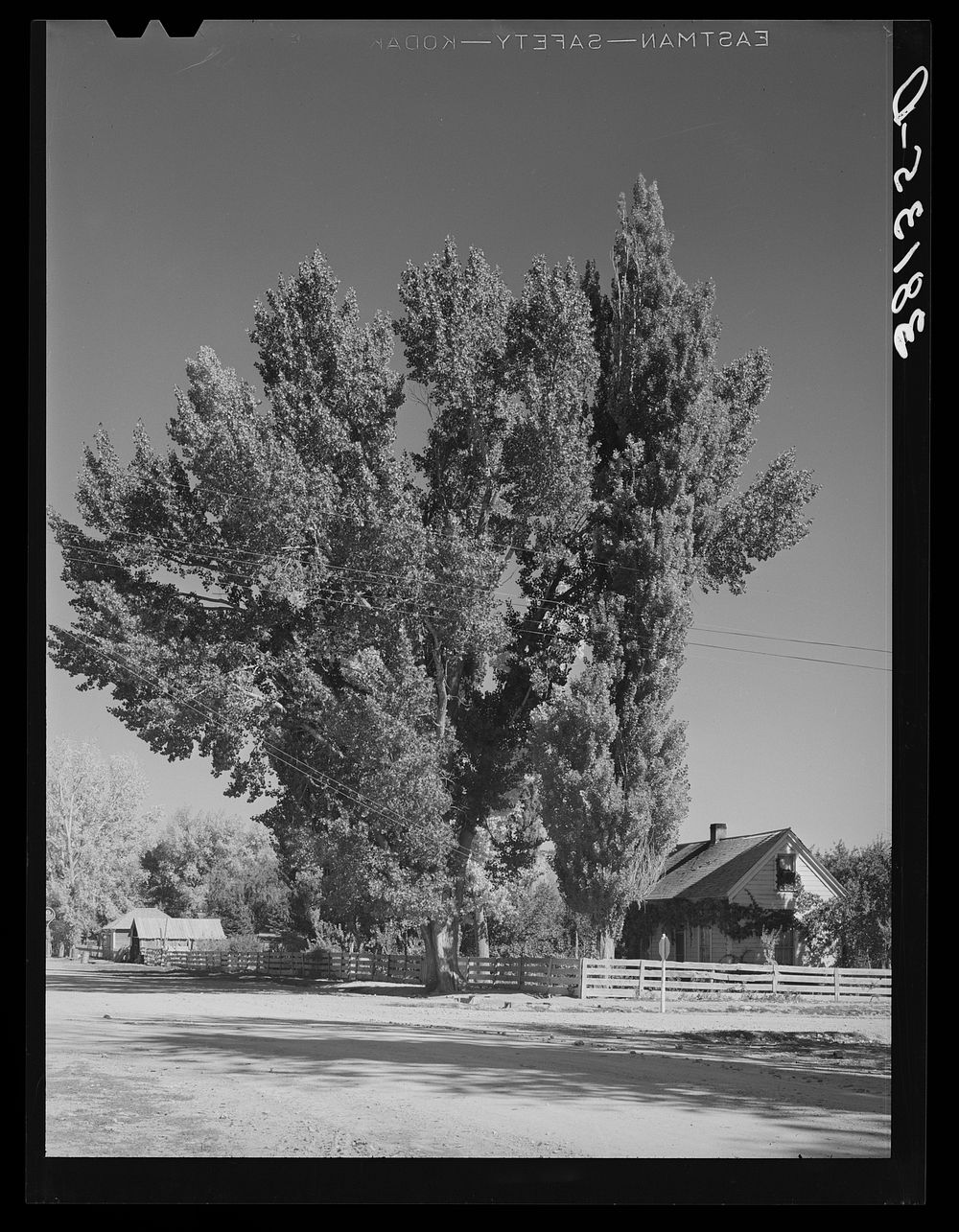 Home of Mormon farmer. Tropic, Utah by Russell Lee