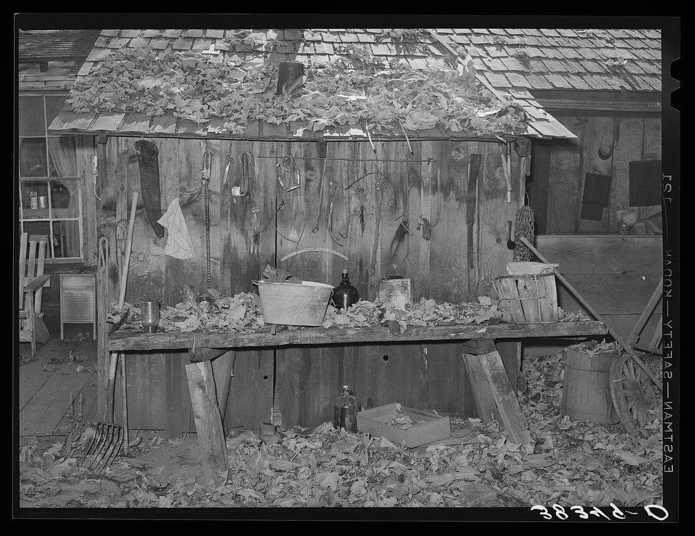 Side of shed of fruit farmer in the fall. Placer County, California by Russell Lee