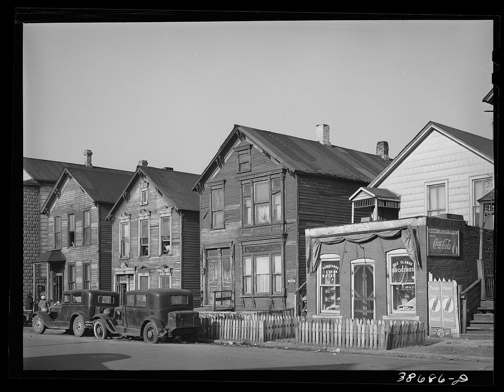 Houses and grocery store on Federal Street in the  section of Chicago, Illinois by Russell Lee
