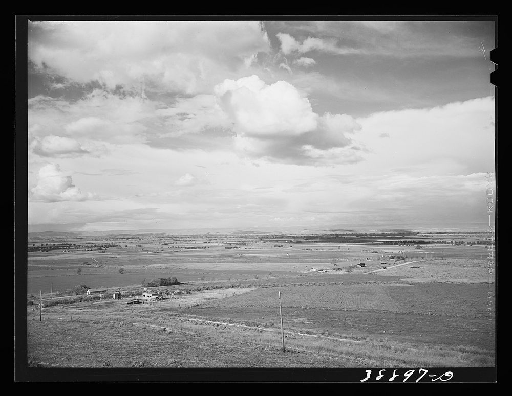 [Untitled photo, possibly related to: Looking across the farmlands of the Owyhee River Valley, part of the Vale-Owyhee…