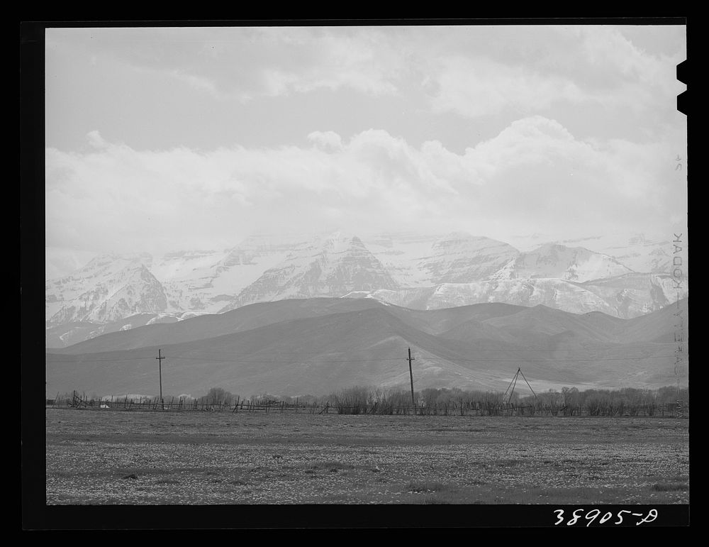 [Untitled photo, possibly related to: Spring pasture with the snow-covered Uinta Mountains in the background. Heber, Utah]…