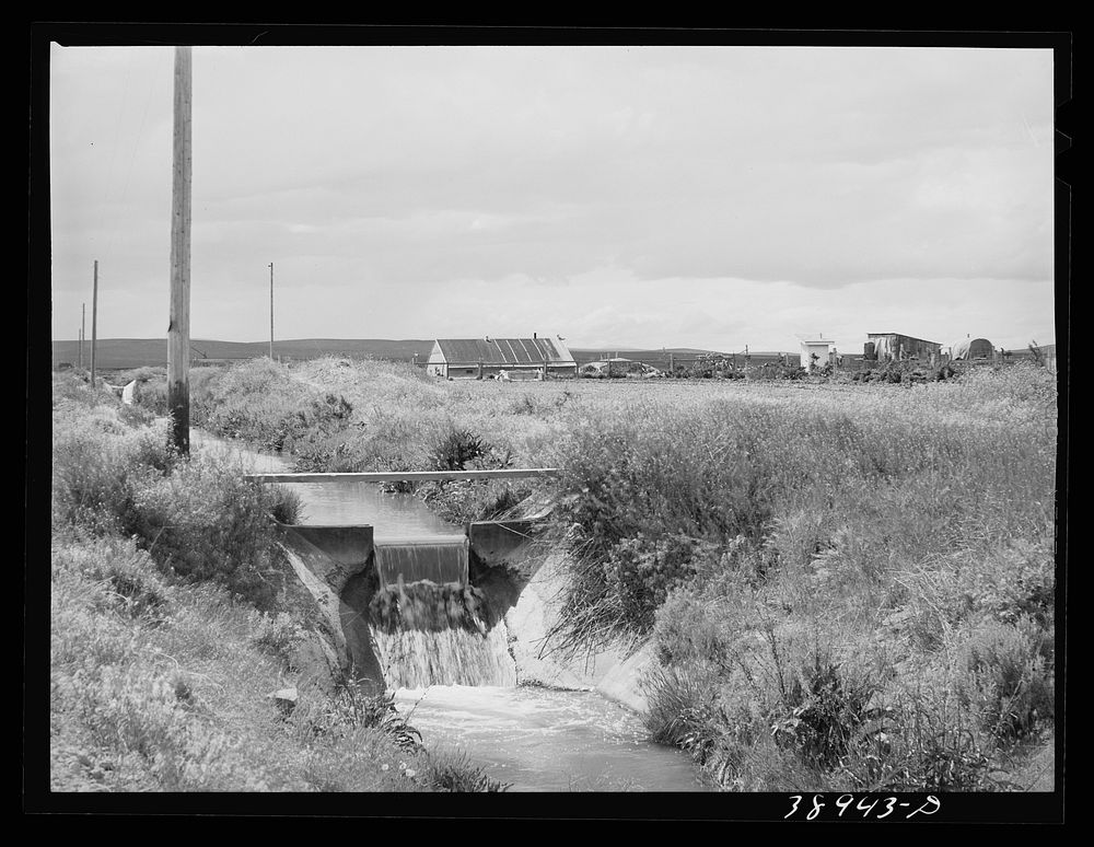 Irrigation ditch and gate with the Free family farmstead in the background. This family is a FSA (Farm Security…