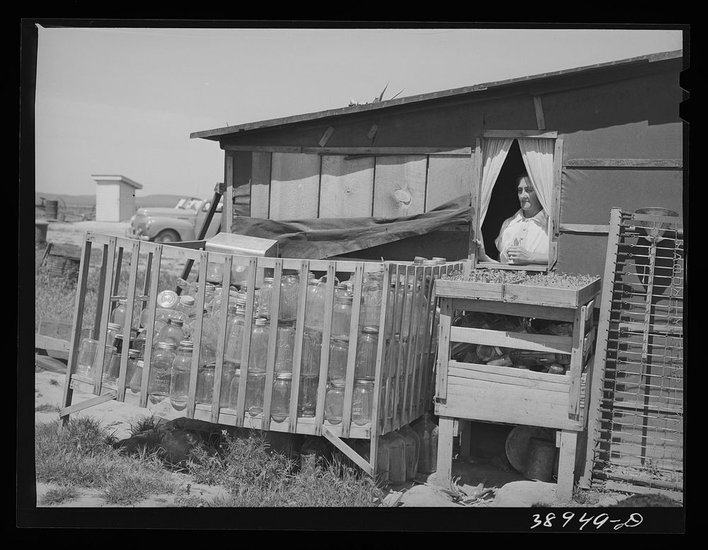 Fruit and vegetable jars stored on Browning farm, Malheur County, Oregon. The family is a FSA (Farm Security Administration)…