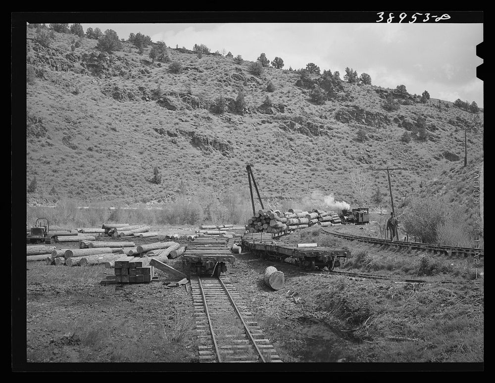 Flat cars of narrow gauge railroad loaded with logs from the surrounding mountains. Baker County, Oregon by Russell Lee