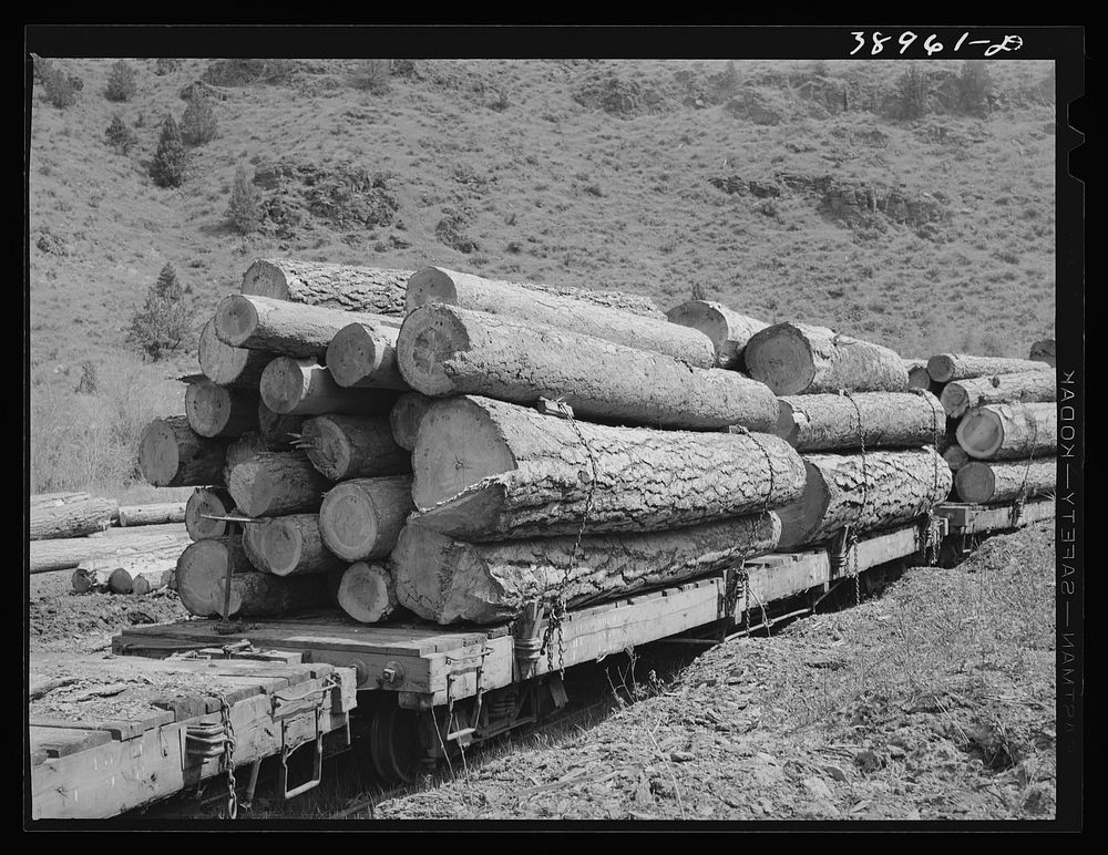 Logs on flatcar which take them into town from mountain logging camp. Baker County, Oregon by Russell Lee